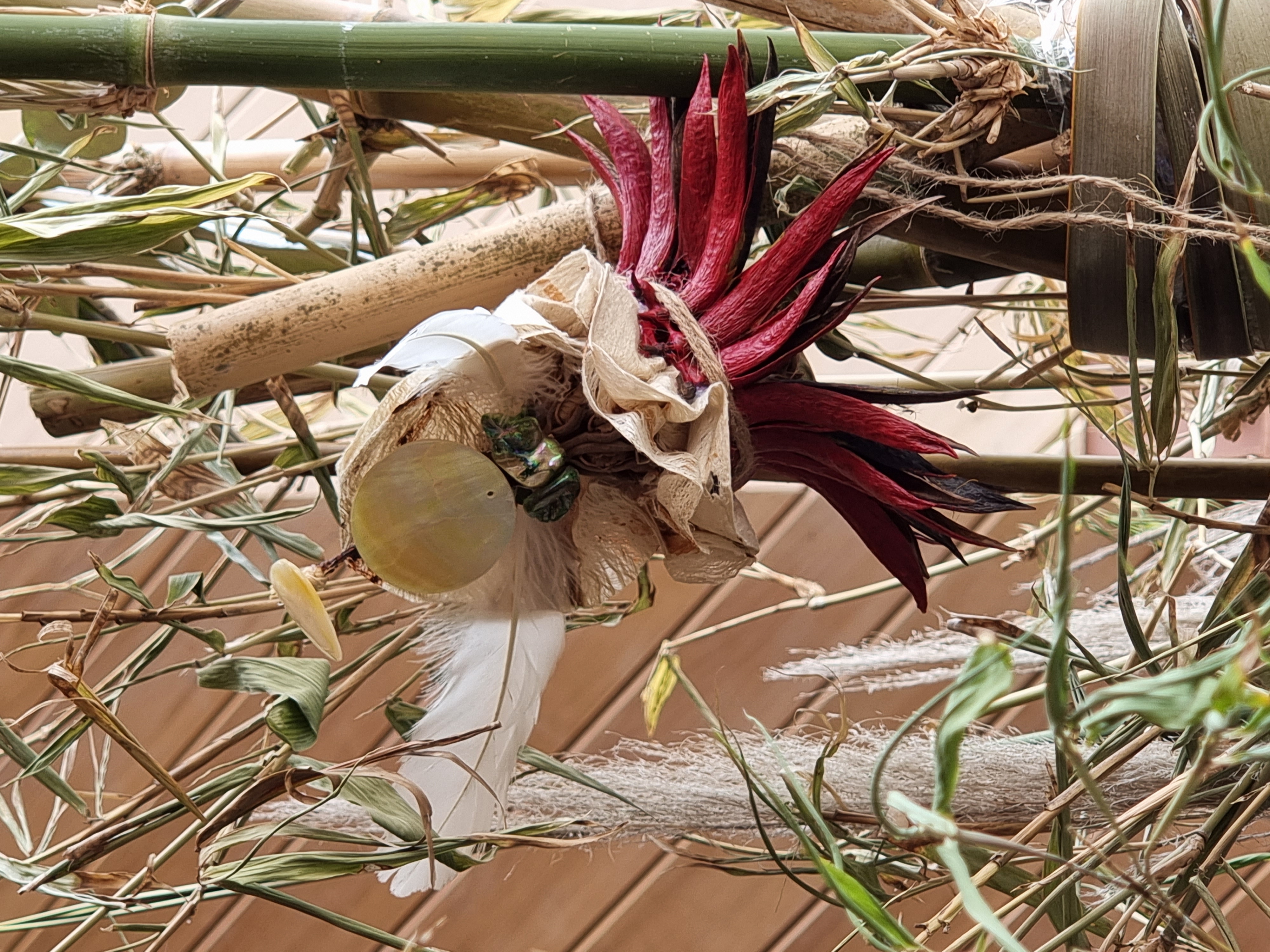Tekau mā ono - Day 16- Kuia/Kaumātua