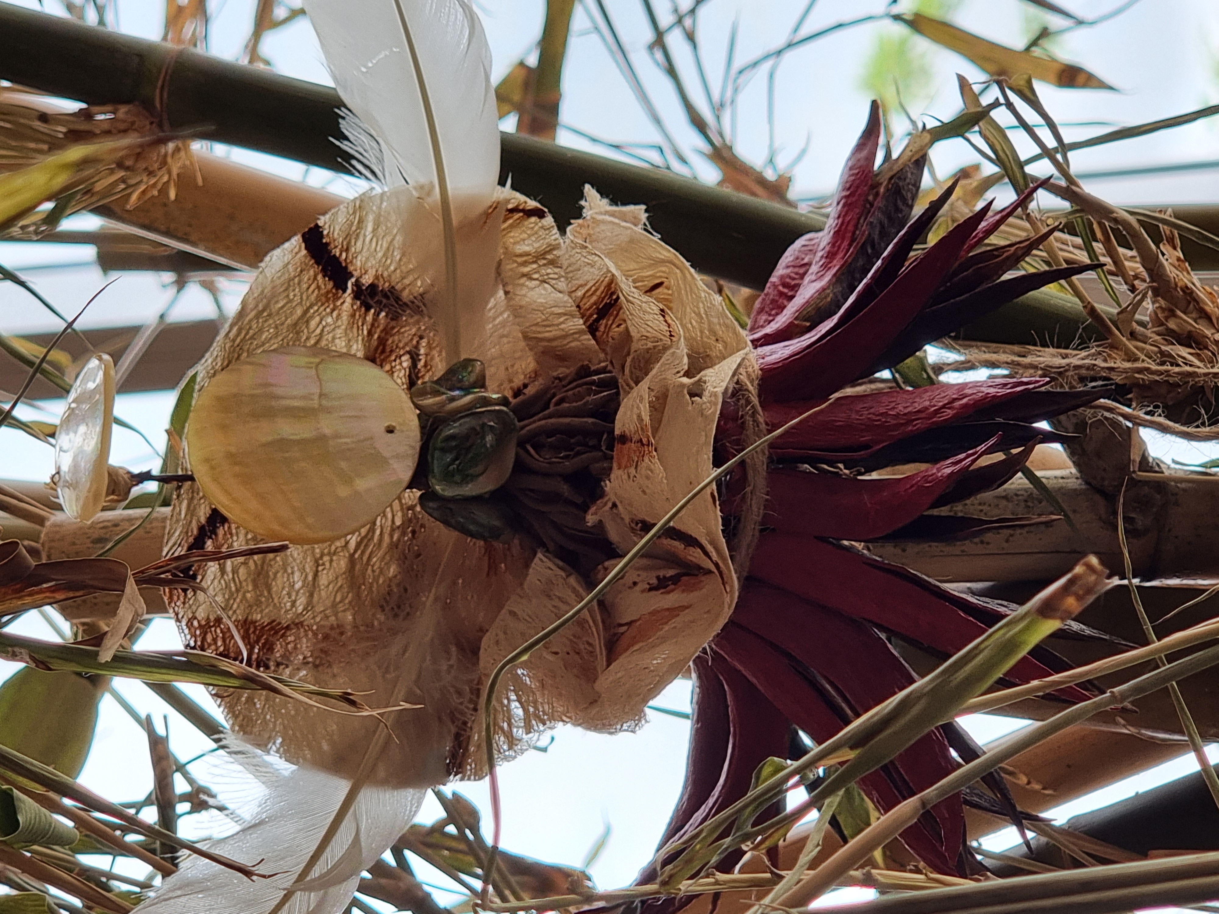 Tekau mā ono - Day 16- Kuia/Kaumātua