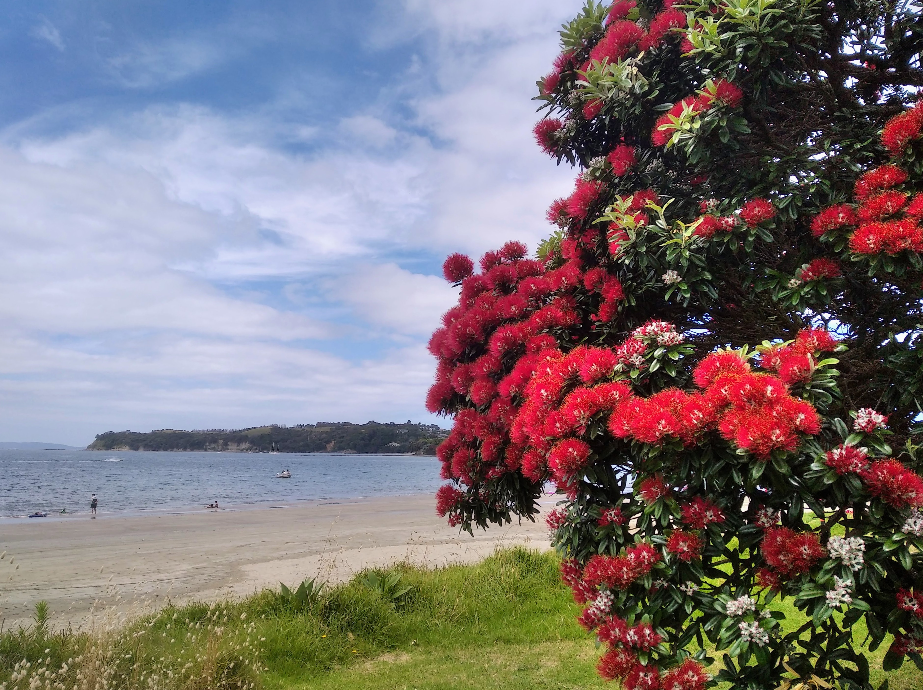 Tekau mā ono - Day 16- Kuia/Kaumātua