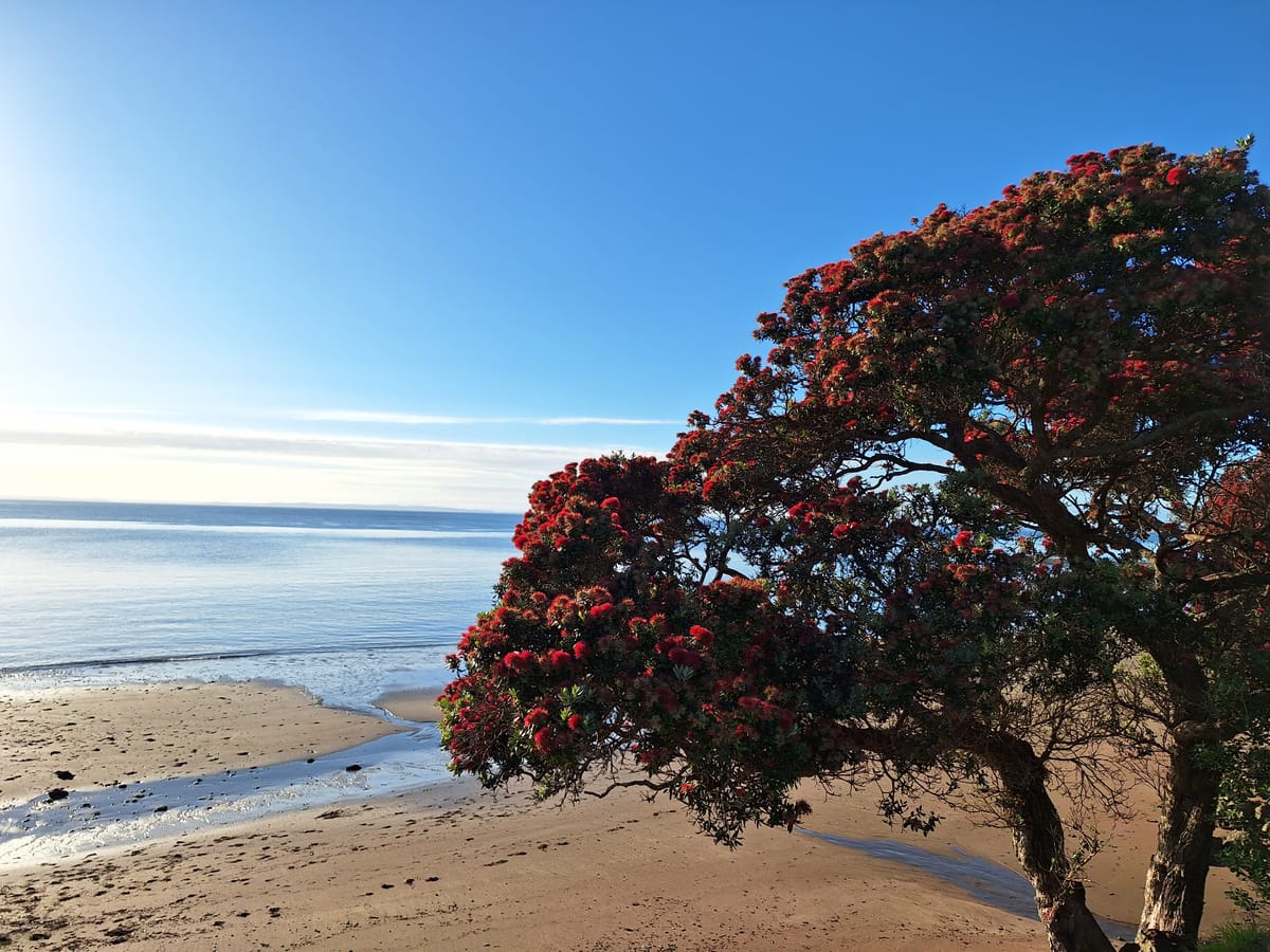 Introducing Counting Down to Christ-mas 2024