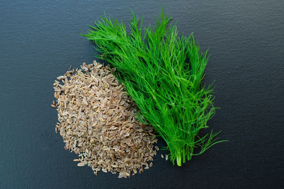 It's the 21st December