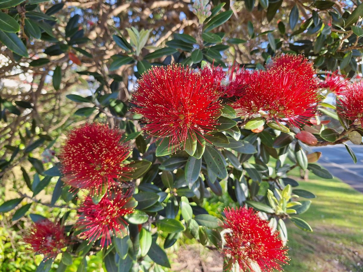 What to expect in each daily email