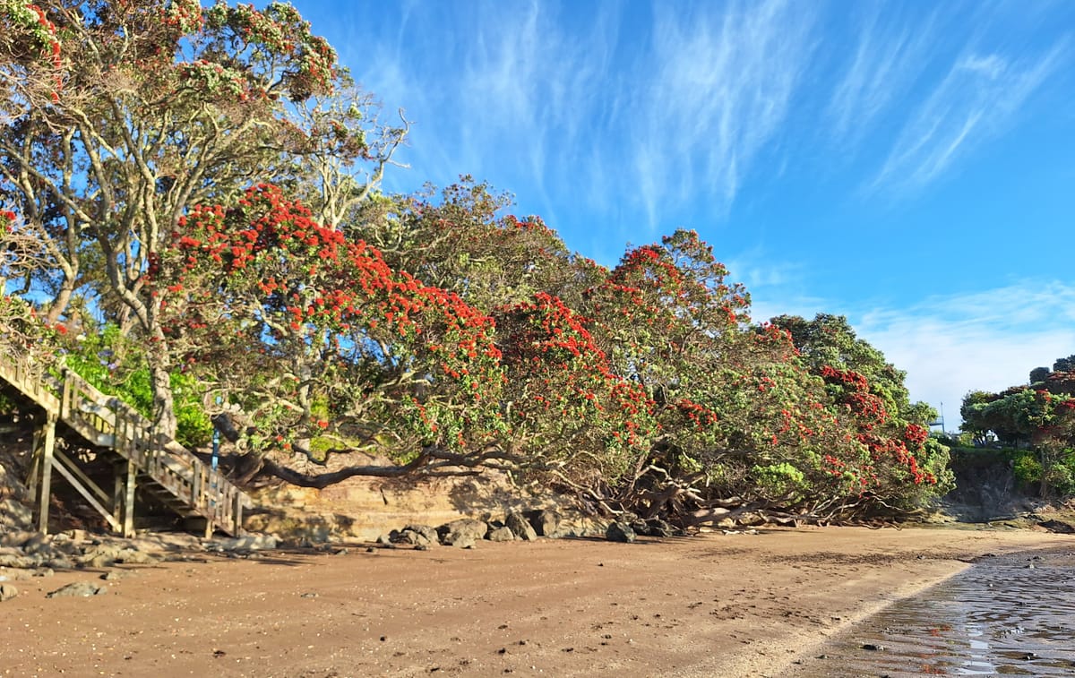 Toru - Day 3- Tikanga
