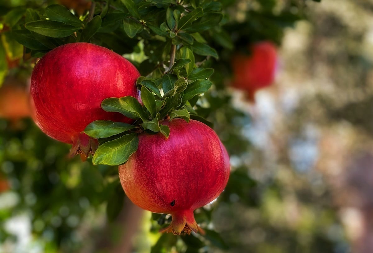 It's the 27th November