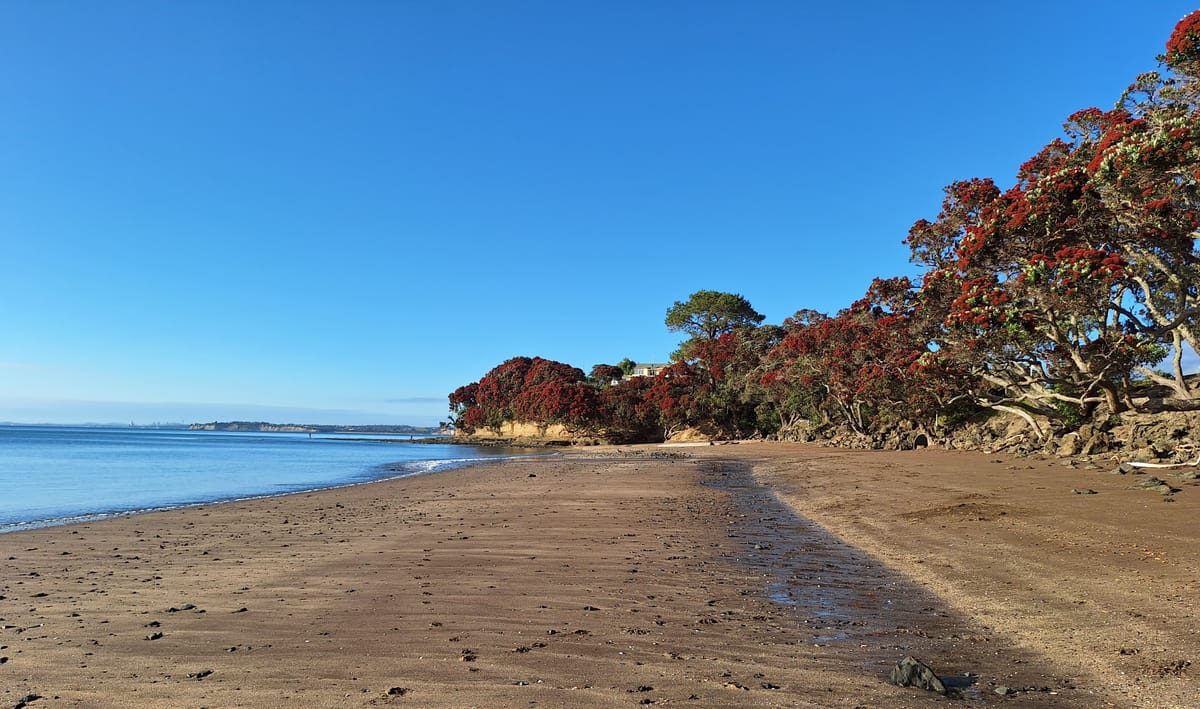 Tahi - Day 1- Kōrerorero
