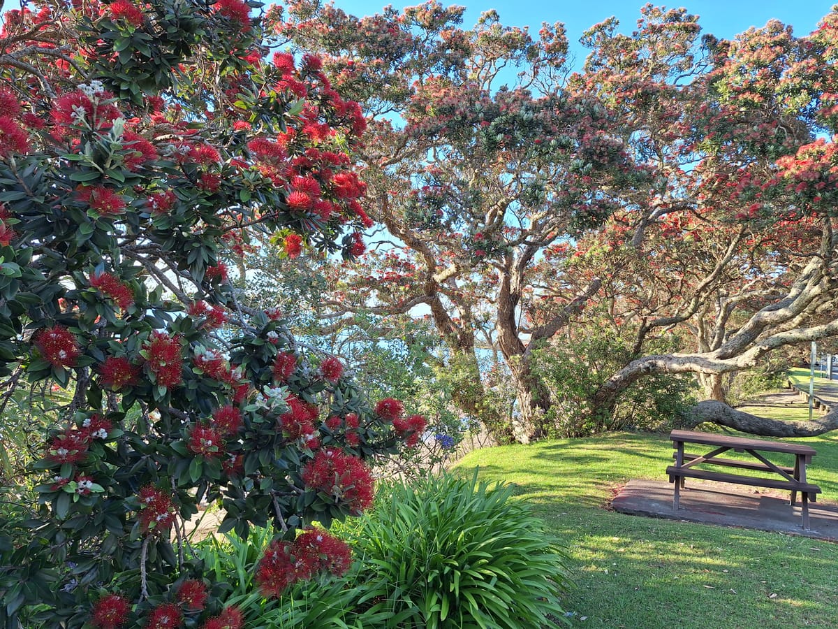 Whā - Day 4 - Pūtake