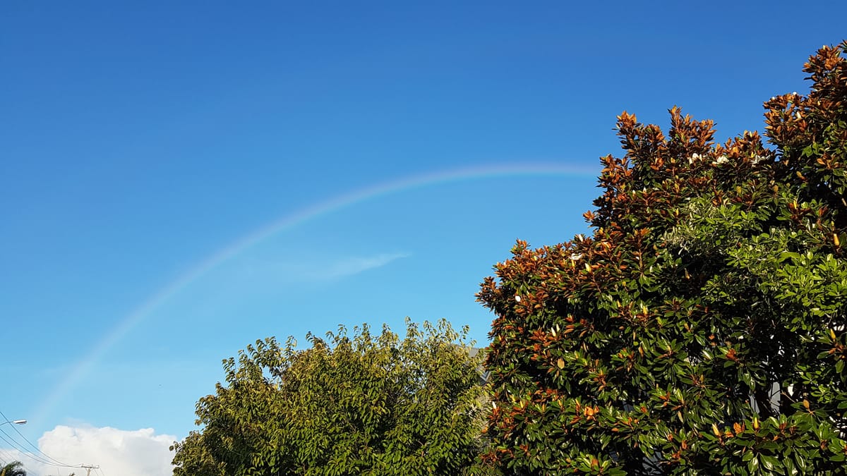 Iwa - Day 9- Wairuatanga