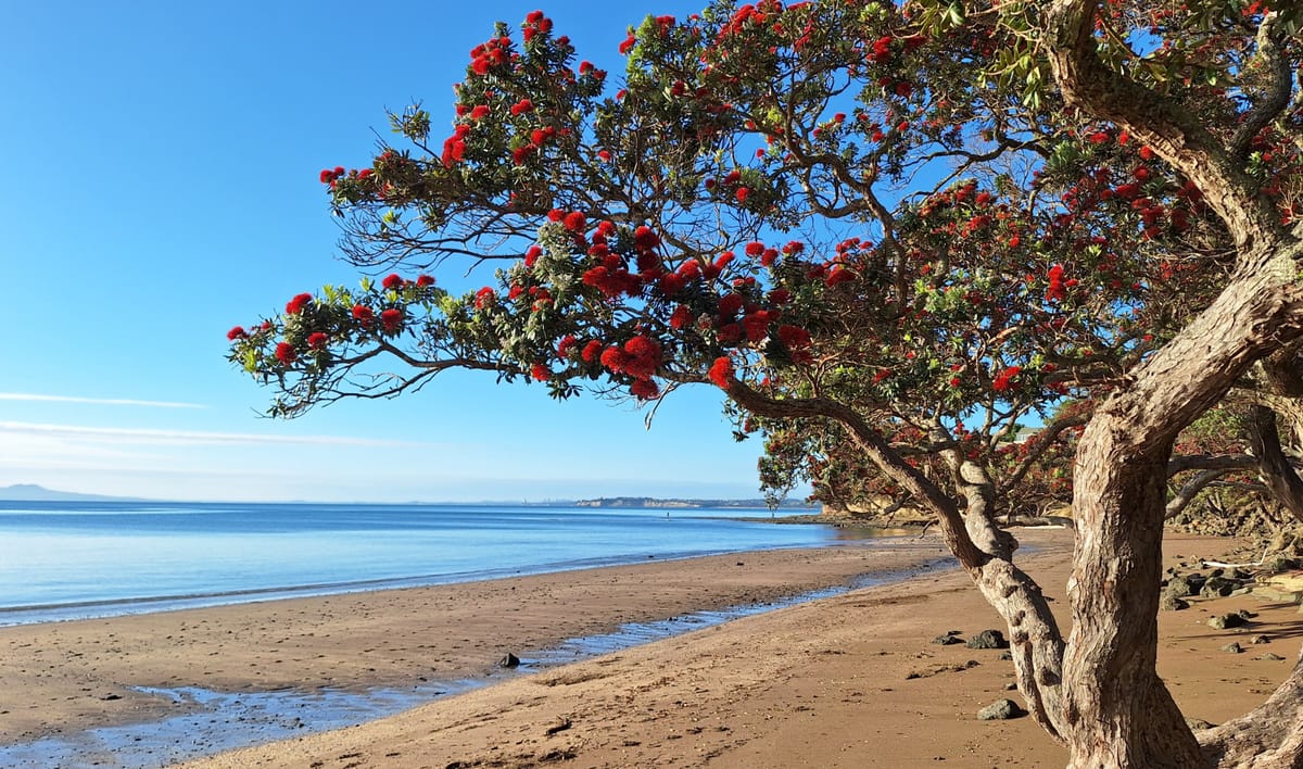 Rima - Day 5- Mātauranga