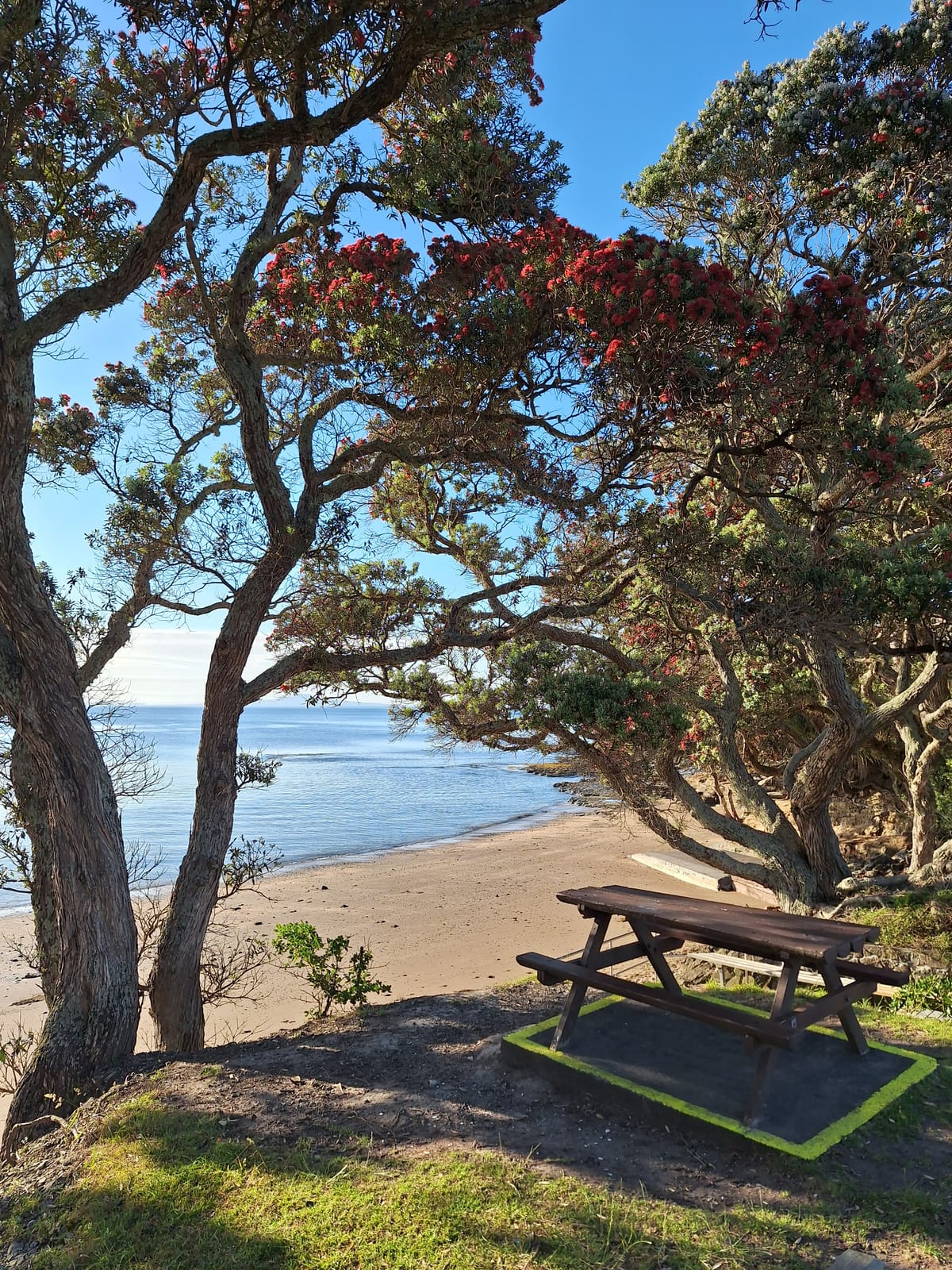 Including te reo in Counting Down