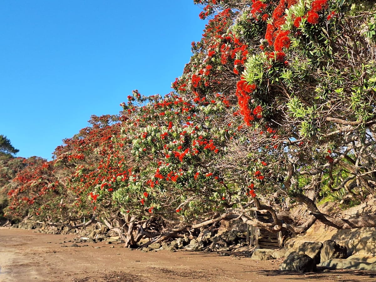 Ono - Day 6 - Taonga