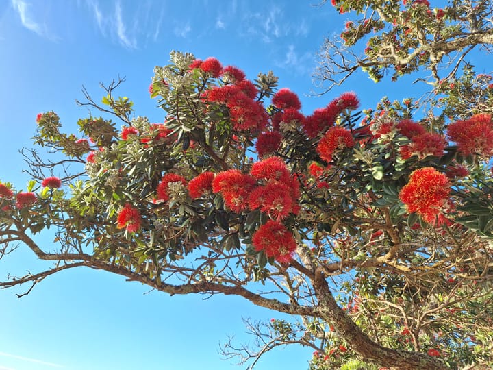 Whitu - Day 7- Kaitiakitanga