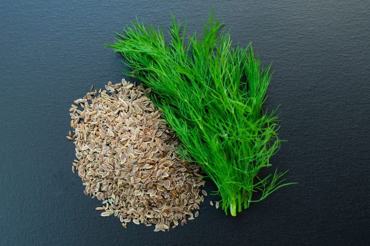 It's the 21st December