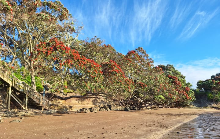 Toru - Day 3- Tikanga