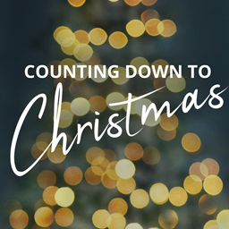 Counting Down to Christmas
