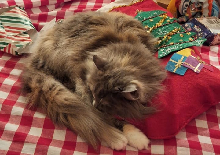 Counting Down to Christmas