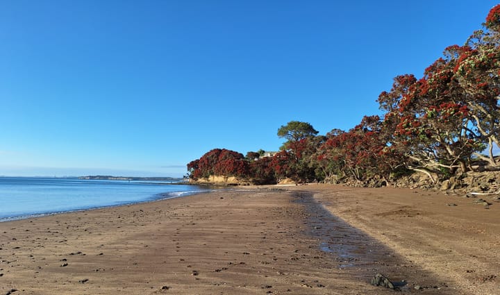 Tahi - Day 1- Kōrerorero