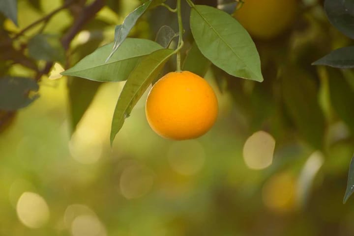 It's the 14th December