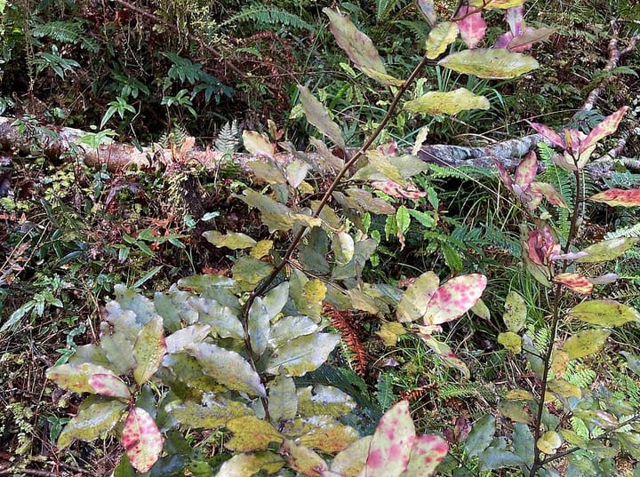 It's the 23rd December