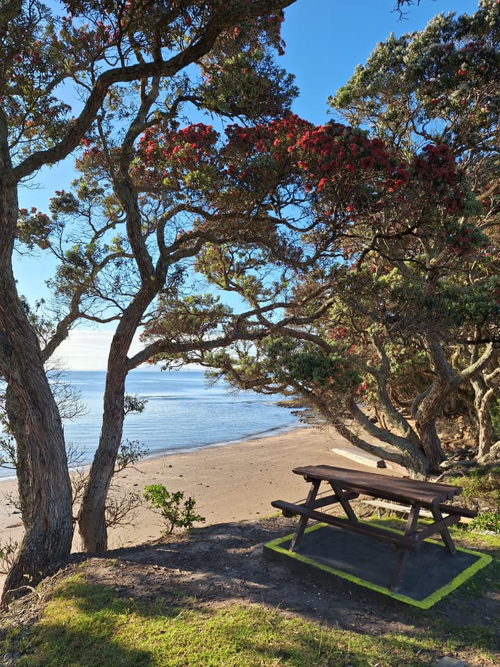 Including te reo in Counting Down